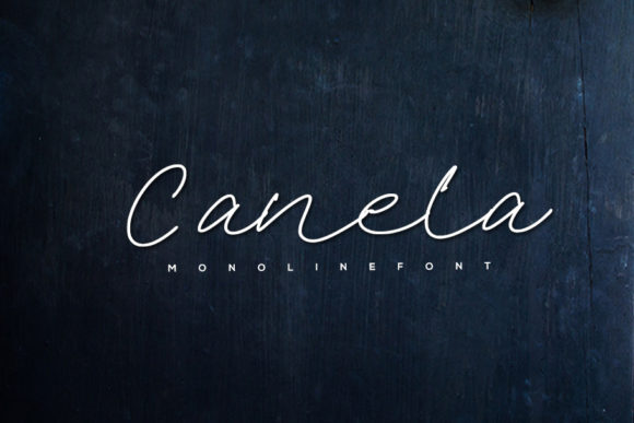 A Detailed Review of the Canela Font