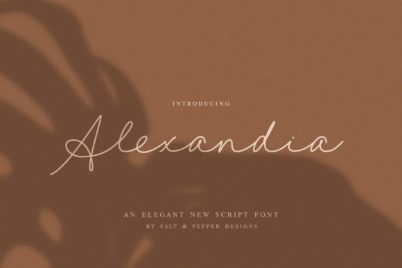 Alexandia Font: A Sweet & Lovely Handwritten Typeface for Business