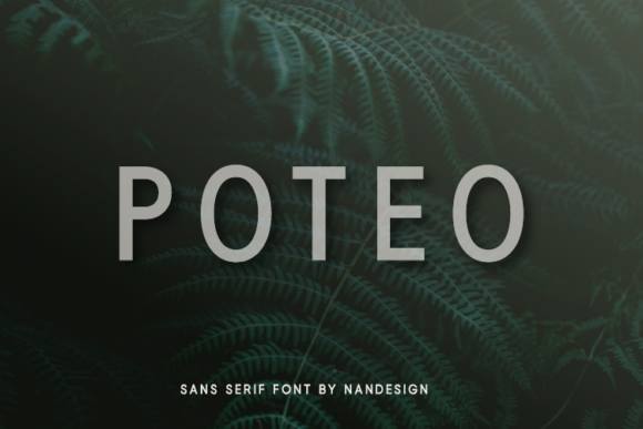 The Poteo Typeface: A Smooth Sans Serif Font for Modern Marketing